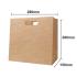 D-Bag Food Kraft Paper Bag (BROWN) 500pcs/ctn